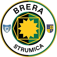 斯肯迪亚